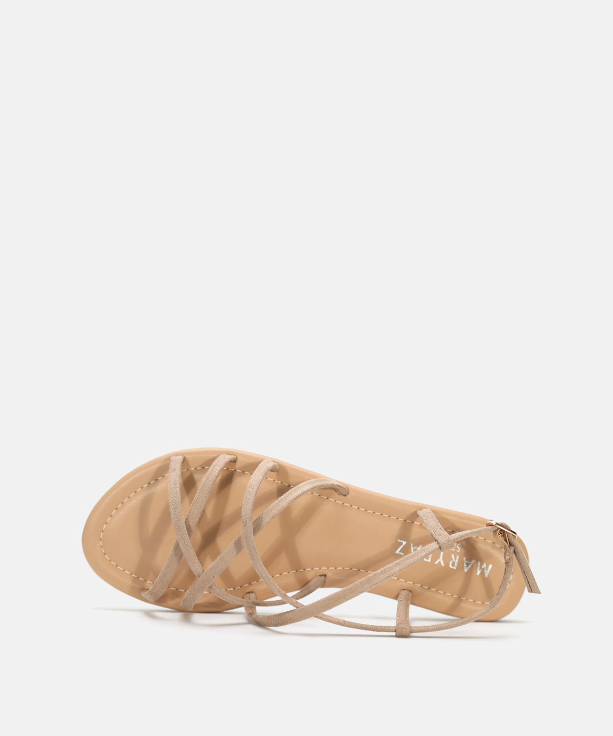 Sand&aacute;lia plana multitirras image number null